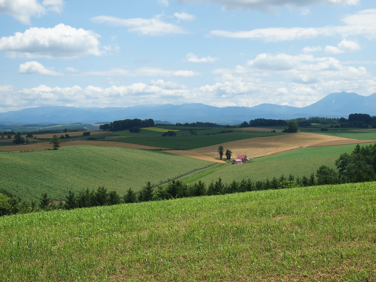 (2014년 7월) 비에이 2.JPG