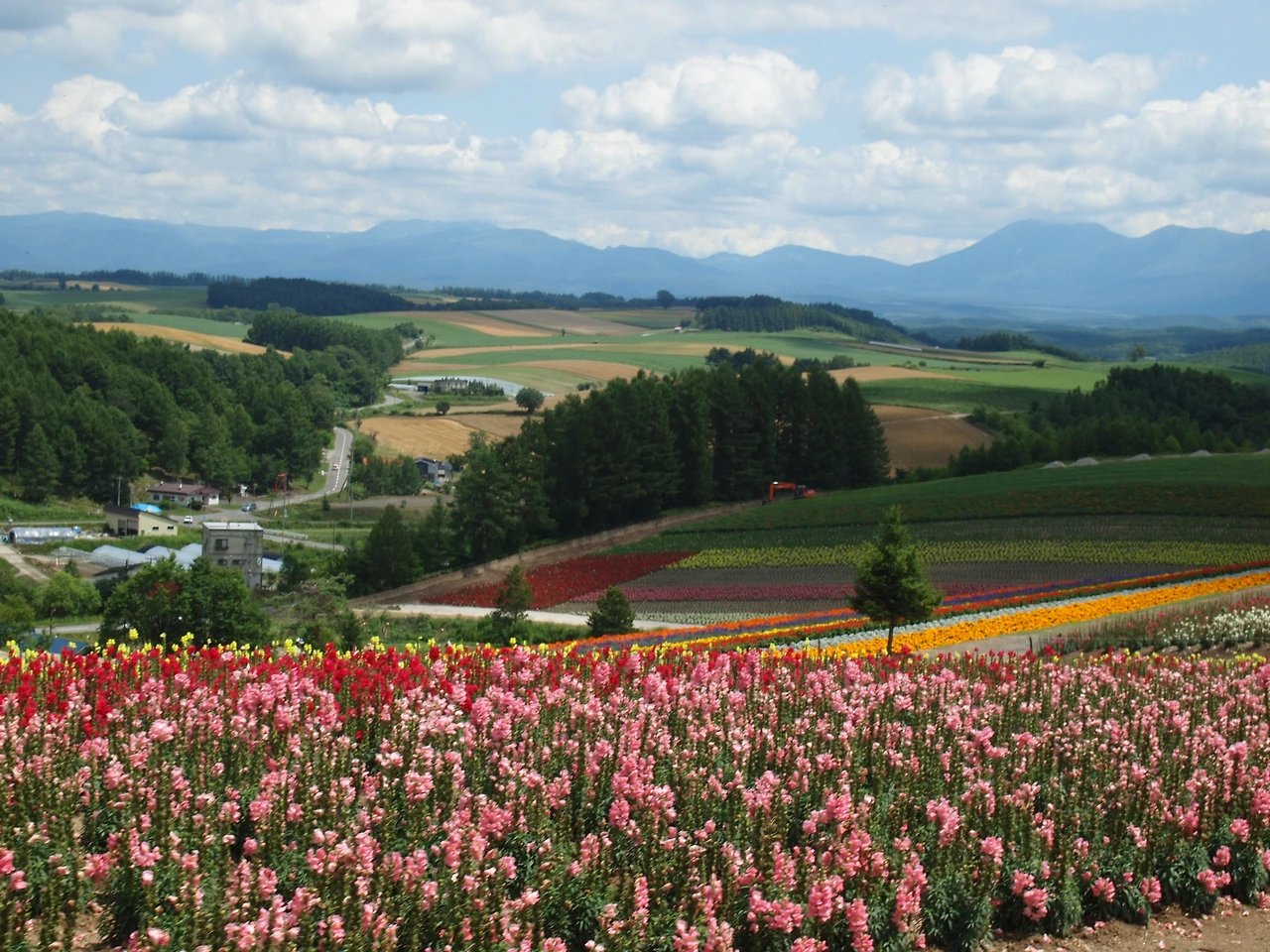 (2014년 7월) 비에이 1.JPG