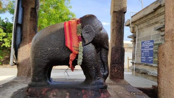 photo-1560832145-076861df56ea.jpg?type=w580