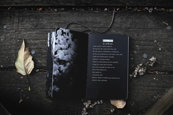 photo-1533271802434-53997a5f9e6c.jpg?type=w580