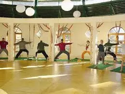 images?q=tbn%3AANd9GcS3W5Ioq7lHLu9rN39HcqSqzQUt_me9QcgD2MSCMcsW9CVKIQoL&amp;usqp=CAU