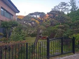 61491264_854426418268228_5164269497049153536_n.jpg?_nc_cat=111&_nc_oc=AQkQDrcAo1mJ6w_aBqB5l-rQrEd3QftBN_OKtHEmY9lzRM0MF8L0bkaDcy5cTo0OWYI&_nc_ht=scontent-icn1-1.xx&oh=b55015457b9cf9132e0e58f13142def6&oe=5DC973FB