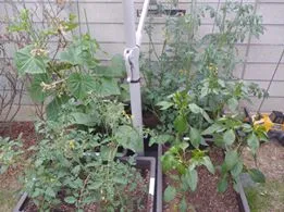 61439943_854426441601559_2325620496093151232_n.jpg?_nc_cat=105&_nc_oc=AQltA_hnW3FReAM8dOWkIsE1VtL5YZEnxqQARo2op6lTRoSTaEjOv27H3U2dL0wWUdc&_nc_ht=scontent-icn1-1.xx&oh=106722592dc499aa31580c609ef517c1&oe=5E04A3B9