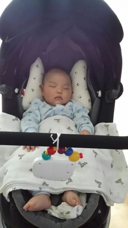 유모차에서 자는 선우.JPG