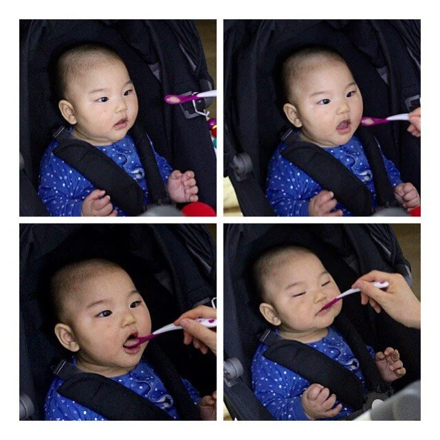 이유식 선우.JPG