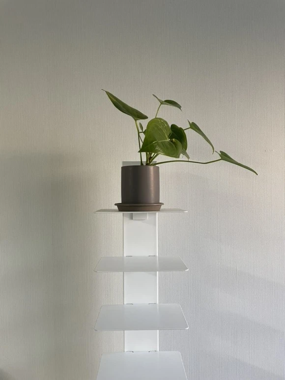 IMG_9019.jpg?type=w580