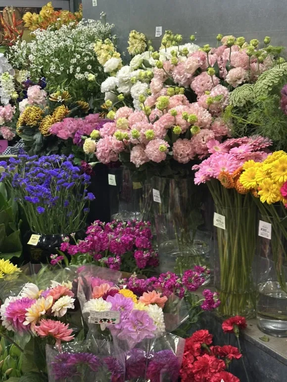 IMG_1148.jpg?type=w580