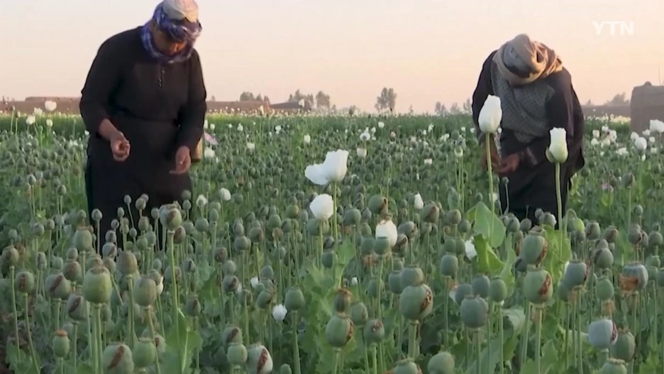 %ED%83%88%EB%A0%88%EB%B0%983.jpg?type=w1