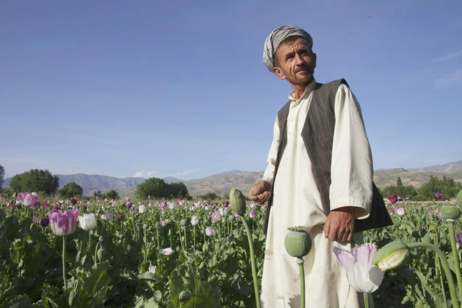 %ED%83%88%EB%A0%88%EB%B0%982.jpg?type=w1