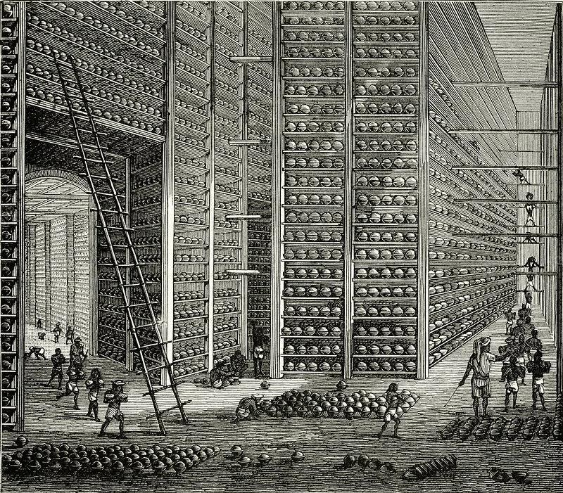 c0169180-800px-wm.jpg?type=w1