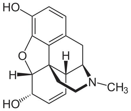 morphine.png?type=w1