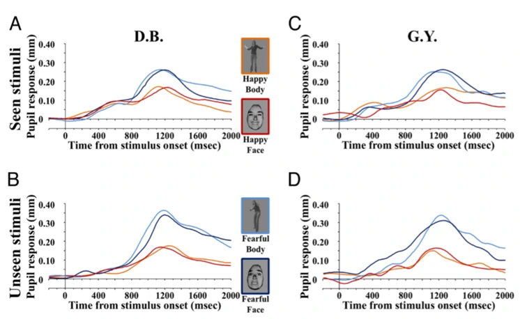 yRR1UBnJutCbPjoyW0_cmWlNv89PkhV6Z44r5HgaeytB9NGX0Qgkb3j_eQM-0v2mqe7TYxUHRS3i1cG5bDA1sv56l481zIxgOX-9zeXxPUjMoPR2jS5xkvQjiC5zNg9qNhzDaO06