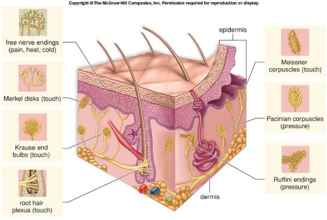 Tj_pQagUL-YeTjYnK0PUemzbd5eOfKH9L-44Fttl4bznVPJjI_8JEqbkEteIFgCeH9YF23vPWSnhBi3y6EPDyYTkqf0Abi-YqJOXyXiv0svl17d7sOlnbICgitS7tNFoMxOa0Fr7fY1I88kguA