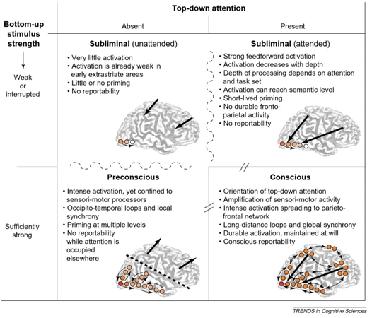 wQ81DE8ud3au2g4QXVVEABYKb1AM5lMAwRbTaYtWB1k-LIXs8WpS_NQHAZ_Rz-90Yzna_dcFcqqwQsEa7jVBpuAuzWf4nGwbnK0vYPpcJ0XdXCL98nEq0jSLA4aUm5ja990zXBuU