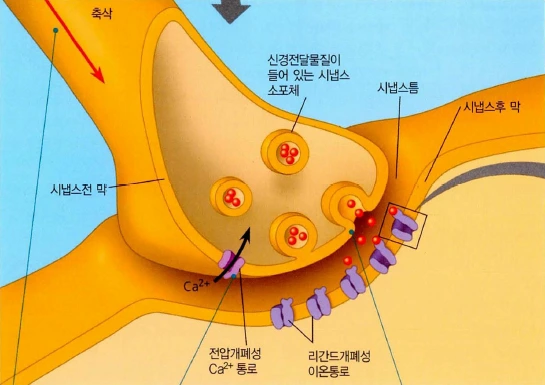 39G_ViFBhMOLnUXRgu8O0YqahXwTeq_wyJUZfjU8s5BbOrT88gcDd9cVbR-wVC7BZSsN9tURAO10HcdrsDQjISZqR6rKSVG_hK8FGAEAN6T8ienOSWkzDpgyUdc7Kw5-VYnMFoKHUOrzhyZbeQ