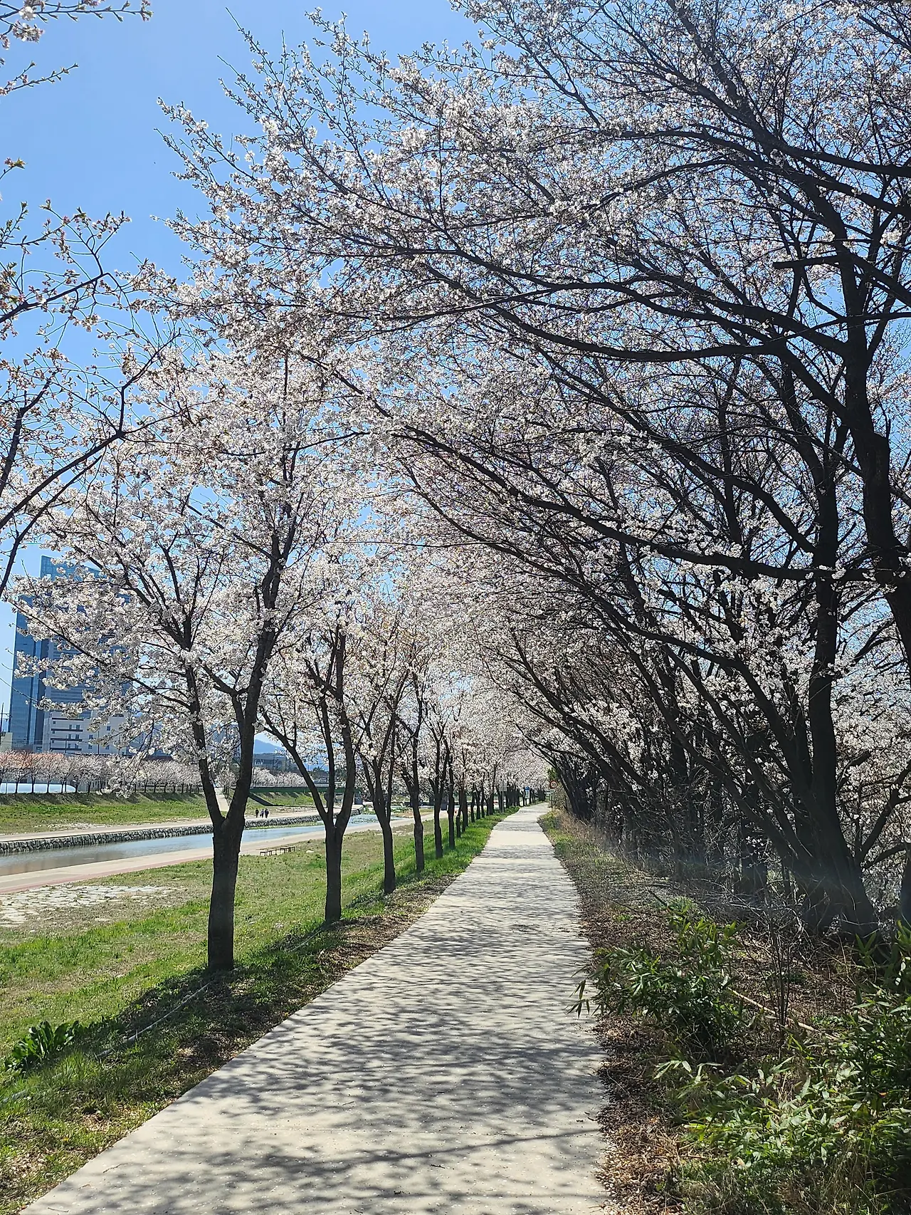 img.jpg?credential=yqXZFxpELC7KVnFOS48ylbz2pIh7yKj8&expires=1756652399&allow_ip=&allow_referer=&signature=Pk9mRTYqadLI3Lg5xjAKSfAw5B8%3D