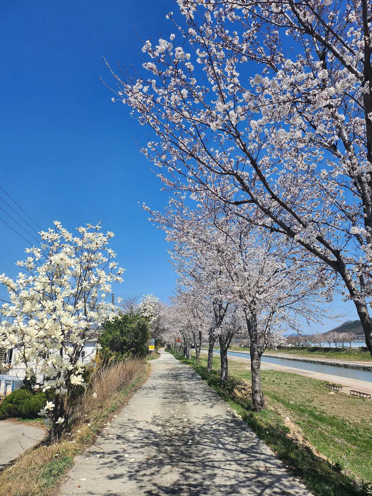 img.jpg?credential=yqXZFxpELC7KVnFOS48ylbz2pIh7yKj8&expires=1756652399&allow_ip=&allow_referer=&signature=nQyGnsDEK1vXrISdhuU43v5Ca00%3D