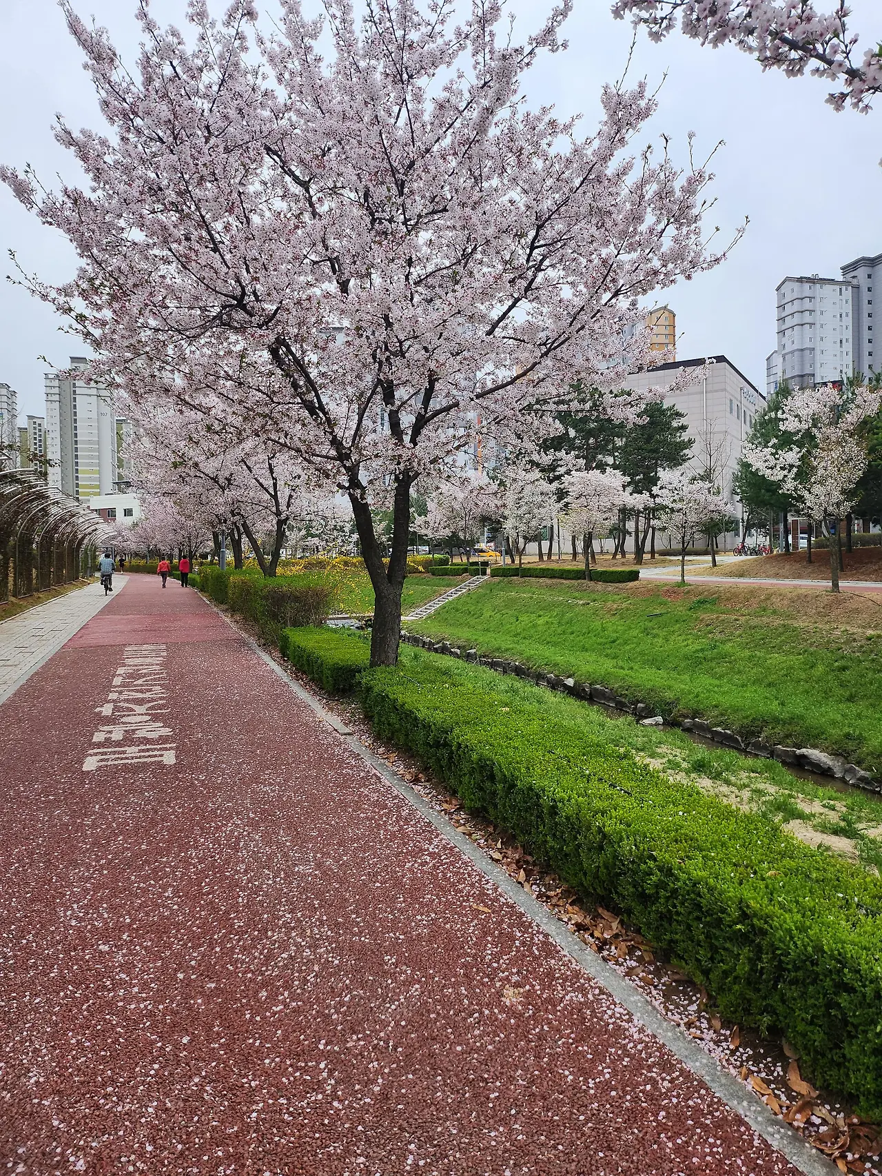 img.jpg?credential=yqXZFxpELC7KVnFOS48ylbz2pIh7yKj8&expires=1756652399&allow_ip=&allow_referer=&signature=PXqgKk2jiKWsiDztDcrkzDgIF9U%3D