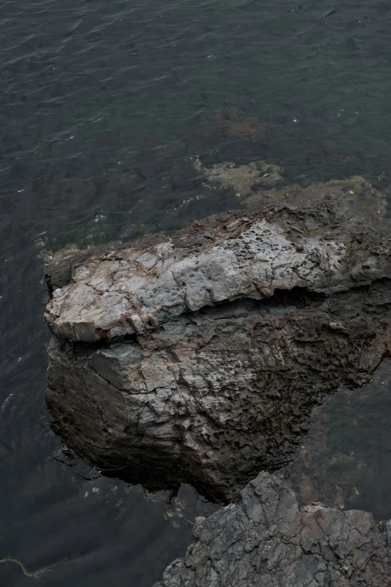 C2B3A839-52A3-4553-BC24-4E79A0D452C9_1_102_o.jpeg?type=w773