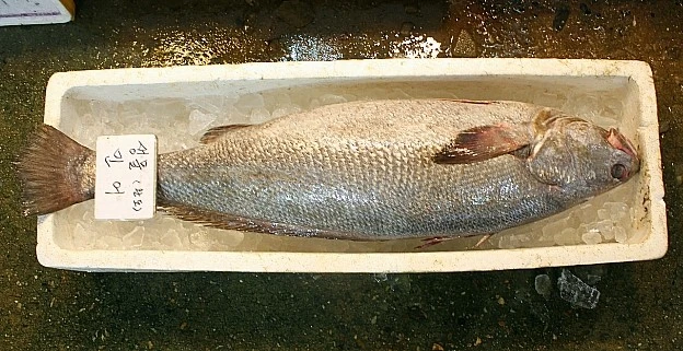 IMG_3473.JPG?type=w2