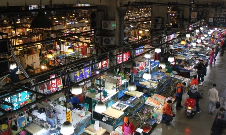 %B3%EB%B7%AE%C1%F8%C0%CC%B9%CC%C1%F6.jpg?type=w2