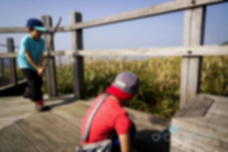 image_6325319331479821670381.jpg?type=w773