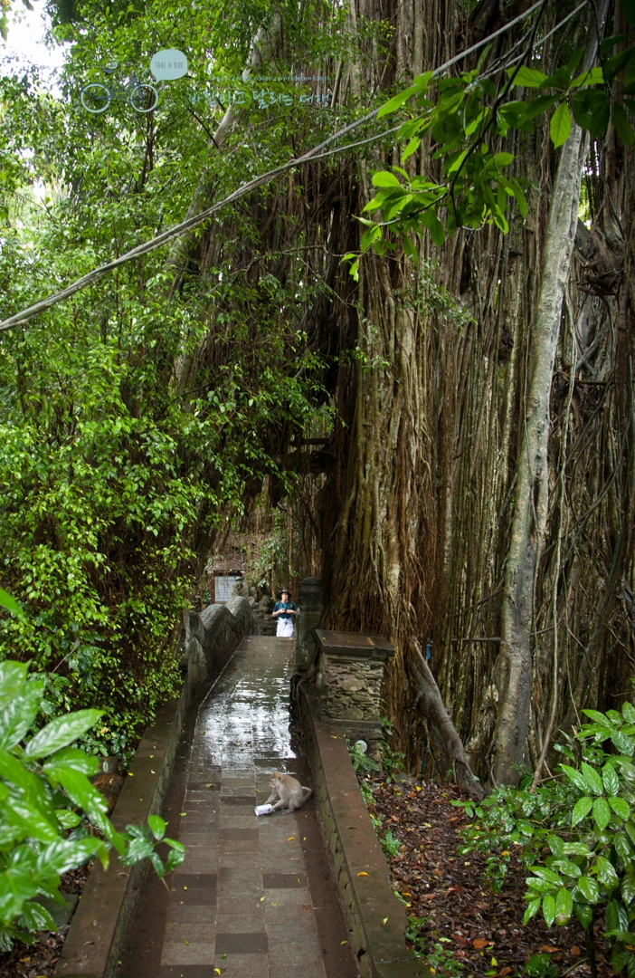 IMG_0254_Wide1080mark%EB%B0%94%EB%9E%8C%ED%83%80%EA%B3%A0-3.jpg?type=w773