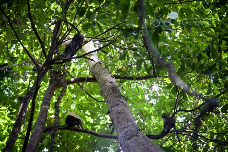 IMG_2175_Wide1080mark%EB%B0%94%EB%9E%8C%ED%83%80%EA%B3%A0.jpg?type=w773