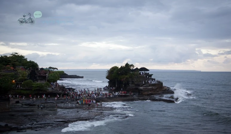 IMG_0421_Wide1080mark%EB%B0%94%EB%9E%8C%ED%83%80%EA%B3%A0.jpg?type=w773