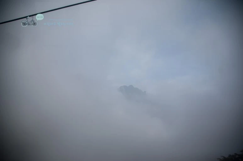 IMG_0061_Wide1080mark%EB%B0%94%EB%9E%8C.jpg?type=w773