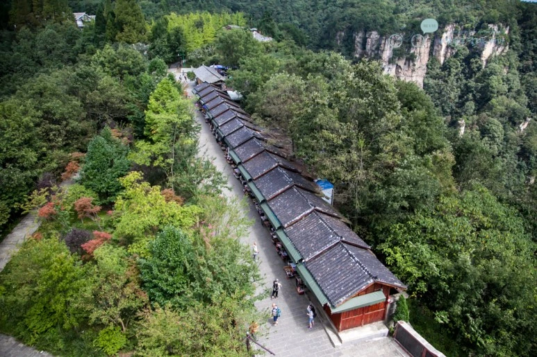 IMG_1210_Wide1080mark%EB%B0%94%EB%9E%8C.jpg?type=w773