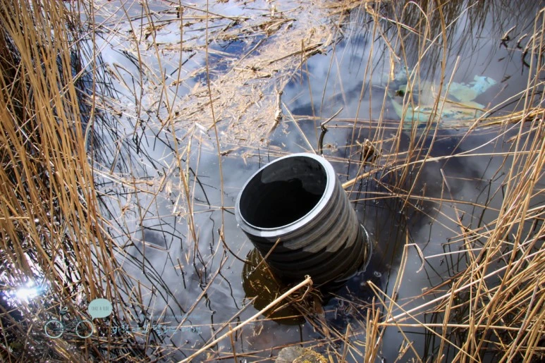 IMG_3300.jpg?type=w773