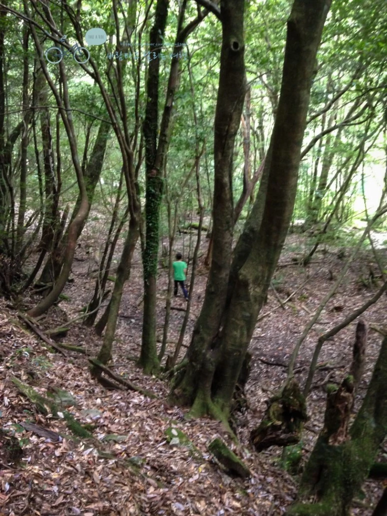 IMG_1502_wide1080.jpg?type=w773