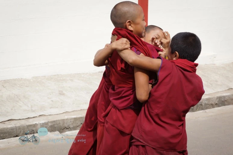 DSC00326.jpg?type=w773