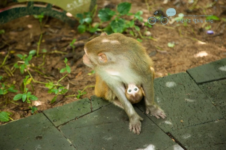 IMG_1419_wide1080%EB%B0%94%EB%9E%8Cmark.jpg?type=w773