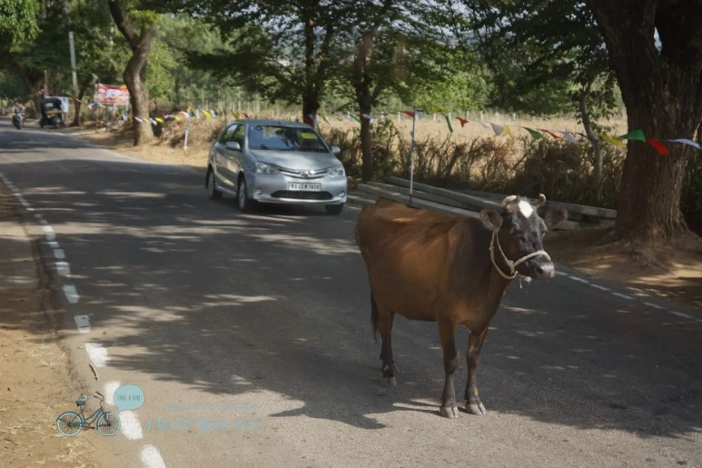 DSC00041.jpg?type=w773