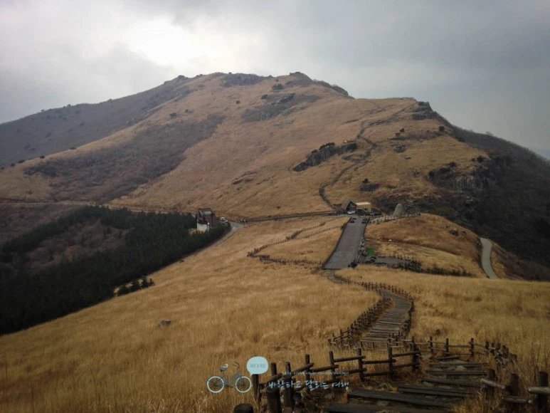 IMG_1926-_Wide1080mark.jpg?type=w773