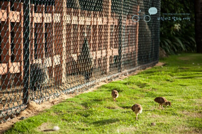 IMG_1801_wide1080%EB%B0%94%EB%9E%8Cmark.jpg?type=w773