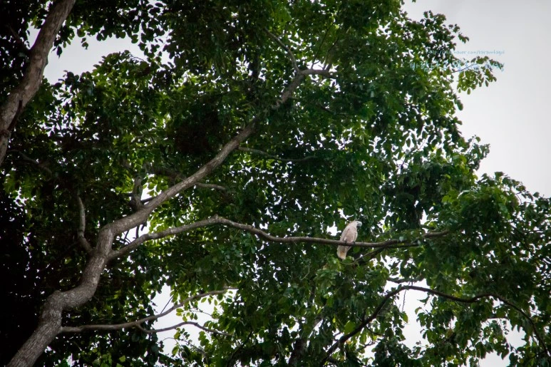 5D_IMG_1675_Short1200mark%EB%B0%94%EB%9E%8C.jpg?type=w773