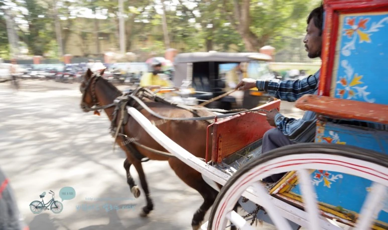 DSC00104.jpg?type=w773