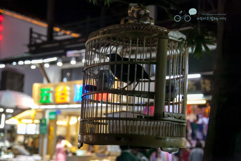 IMG_0961_Wide1080mark%EB%B0%94%EB%9E%8C.jpg?type=w773