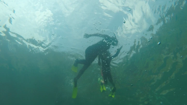 %EC%8A%A4%ED%81%AC%EB%A6%B0%EC%83%B7_2017-07-04_10.11.35.png?type=w773