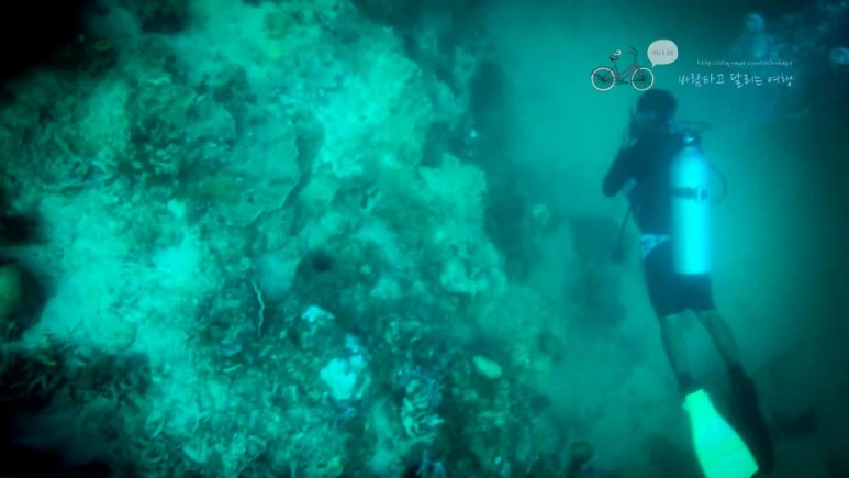 IMG_02_Wide1080mark%EB%B0%94%EB%9E%8C%ED%83%80%EA%B3%A0.jpg?type=w773