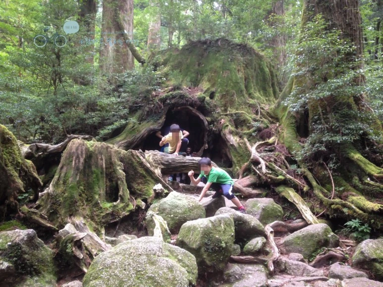 image_98068521486446636503.jpg?type=w773