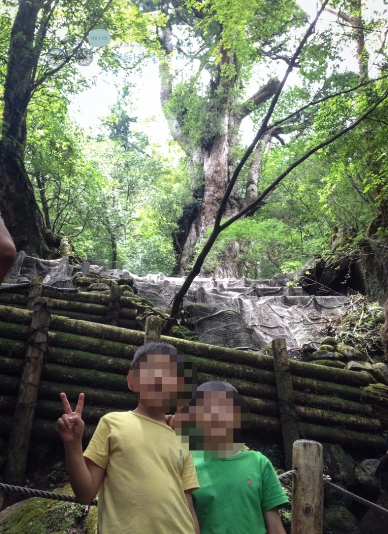 image_1221338011486451390776.jpg?type=w773