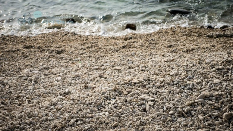 _1050521_wide1080mark.jpg?type=w773