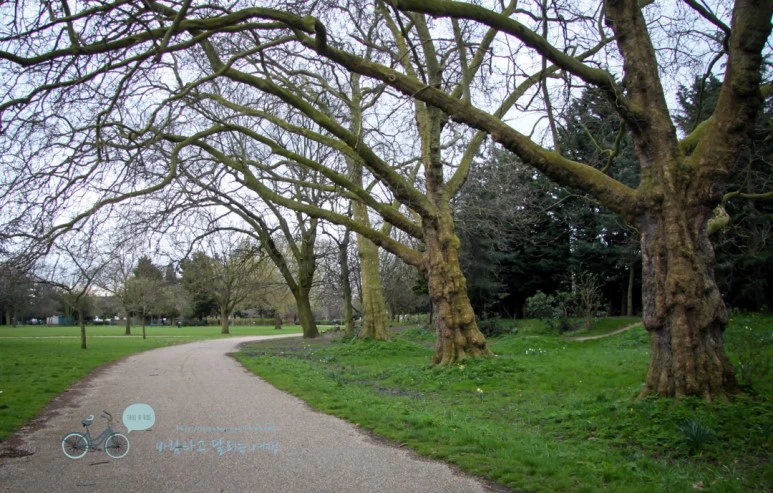 IMG_3027.jpg?type=w773