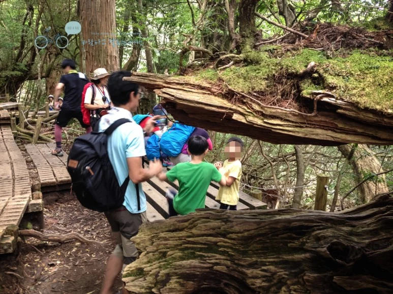 image_1347856011486446562039.jpg?type=w773