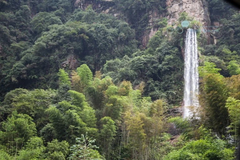 IMG_1302_Wide1080mark%EB%B0%94%EB%9E%8C.jpg?type=w773