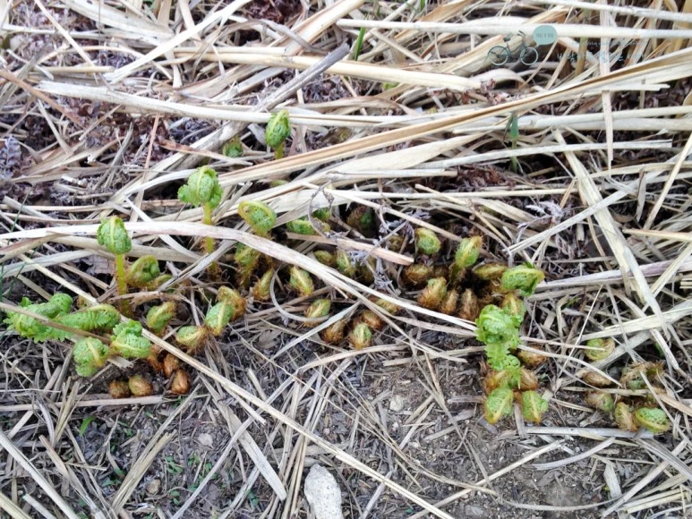 IMG_2085_Wide1080mark%EB%B0%94%EB%9E%8C.jpg?type=w773